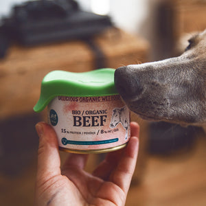 Organic Beef for Dogs