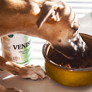 Venison for Dogs